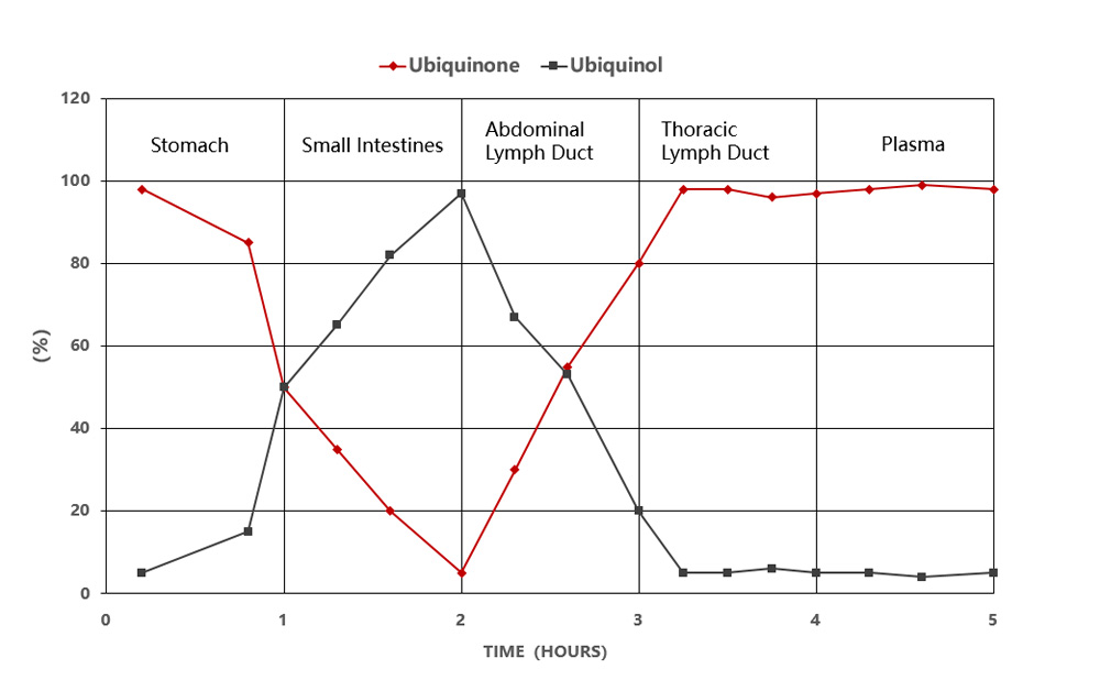 الإنزيم المساعد  Q10
