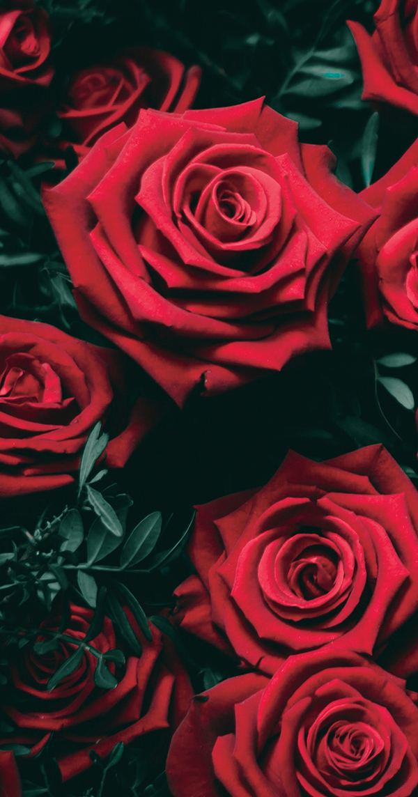 سيتريال أسيتات