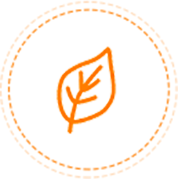 نوتات عطرية منعشة